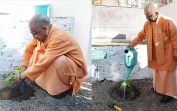 CM Yogi planted a tree at Guru Gorakhnath College.