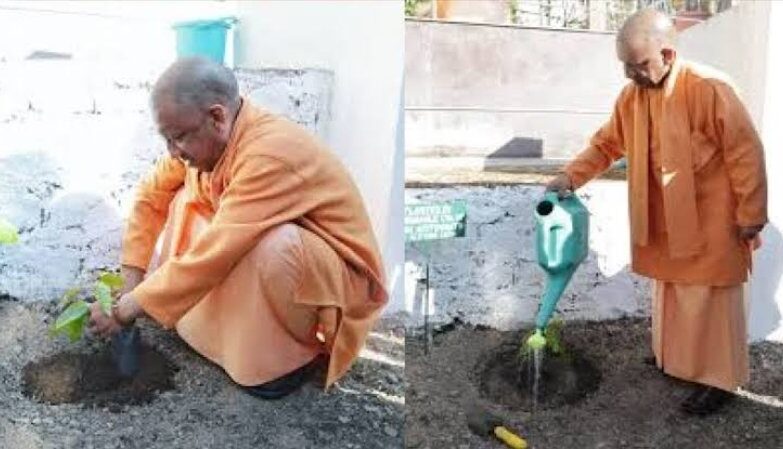 CM Yogi planted a tree at Guru Gorakhnath College.