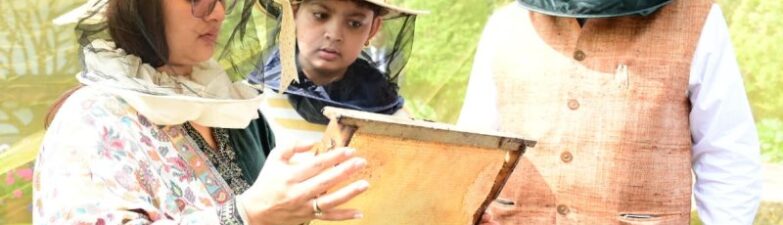 CM Dhami gave instructions to develop '3-B Garden'