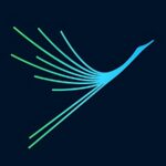 सारस की उड़ान बनी नोएडा इंटरनेशनल एयरपोर्ट की पहचान