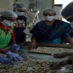 Over 9,000 women-run startups are creating a new identity in UP