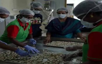 Over 9,000 women-run startups are creating a new identity in UP