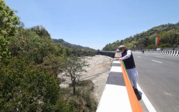 Elevated Wildlife Corridor