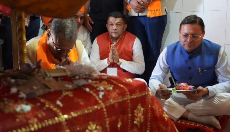 cm dhami