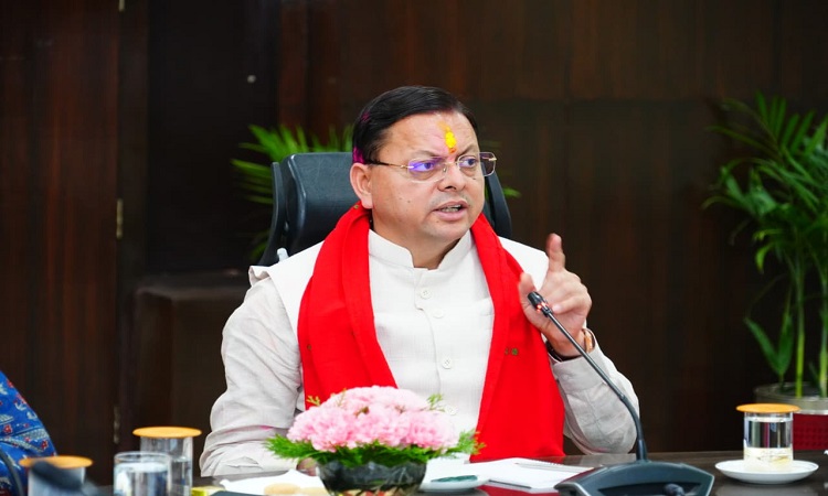 cm dhami