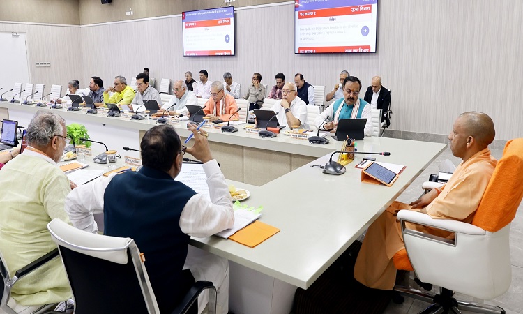 Yogi Cabinet