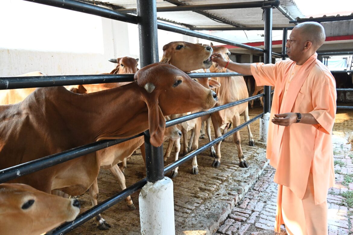 गुड़-रोटी खिलाकर सीएम योगी ने की गोसेवा