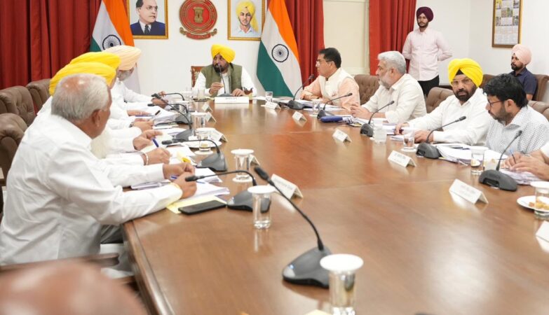 Many decisions were taken in the Mann cabinet meeting.