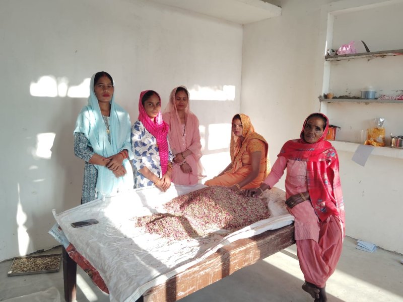 यूपी की हर्बल टी की सुगंध पहुंची अमेरिका-यूरोप