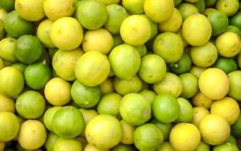 Lemons