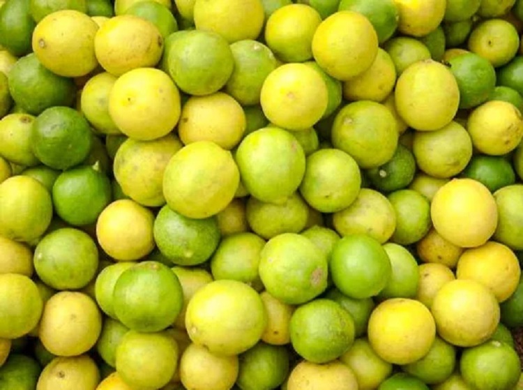 नींबू को ऐसे करें स्टोर, लंबे समय तक रहेंगे फ्रेश