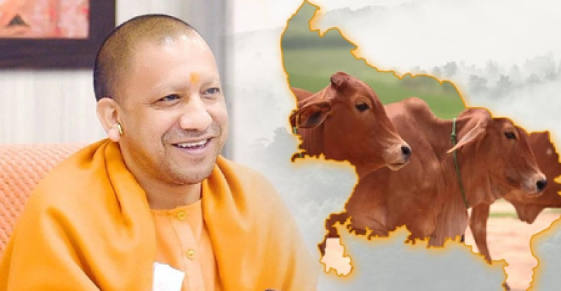 योगी सरकार की योजना से बदली किस्मत, डेयरी से सालाना हो रही 20 लाख की कमाई