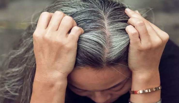 सफ़ेद बालों से छुटकारा पाने के लिए अपनी डाइट में शामिल करें ये चीजें